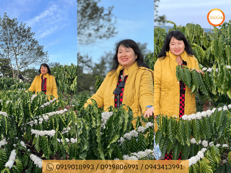 Chụp ảnh check-in giữa rừng hoa trắng - Du lịch 360Go